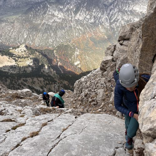 IMG_1941