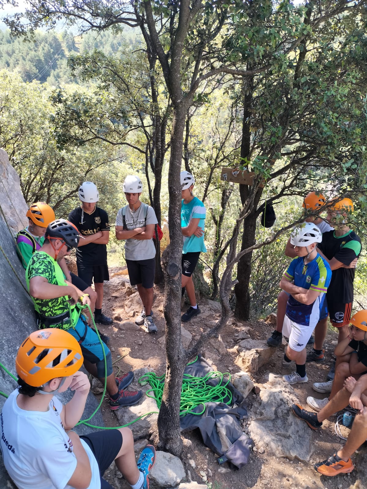 159309cb-042a-40ec-9493-b35025fabc76