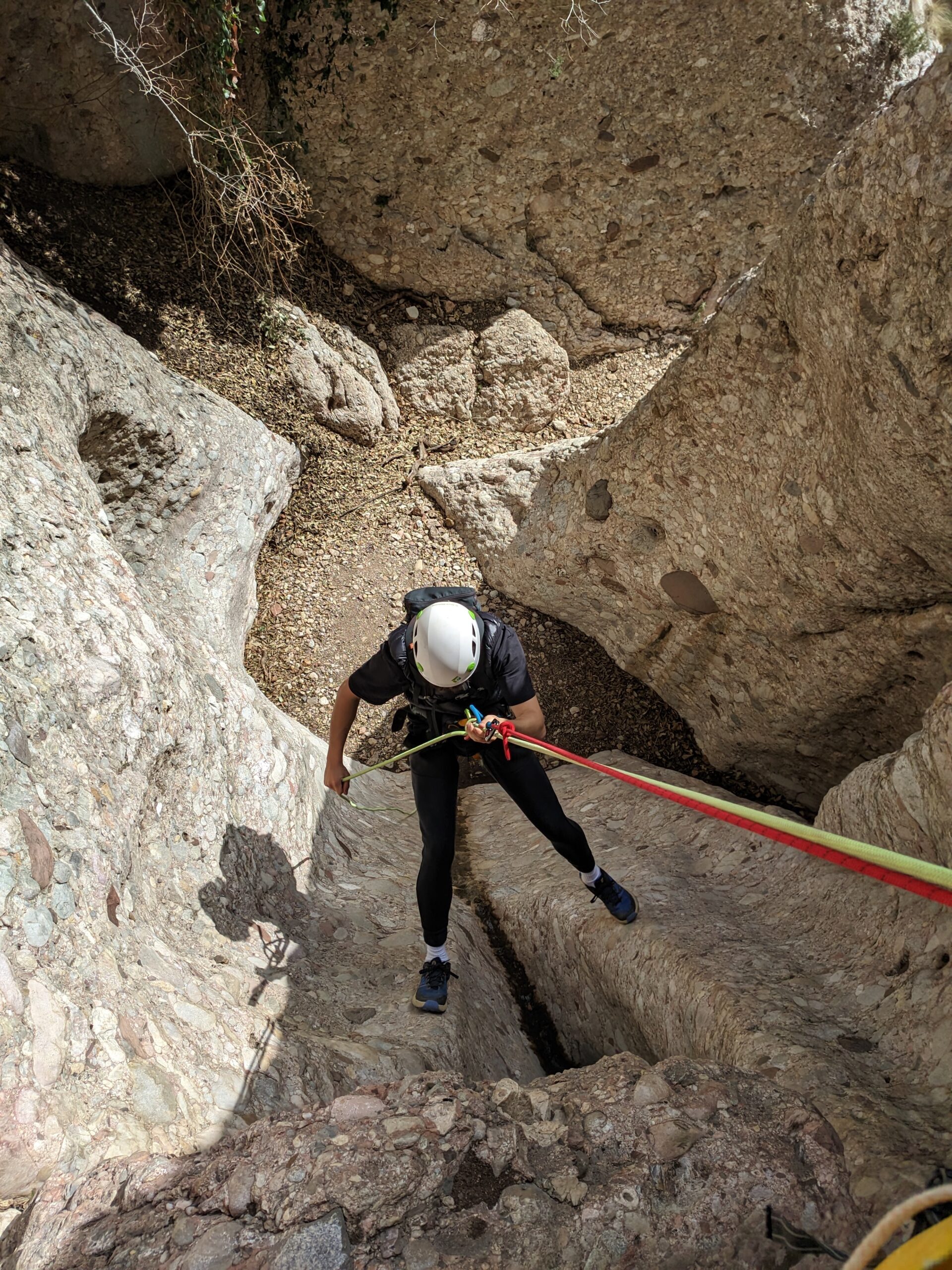 PXL_20240321_122648008_Original